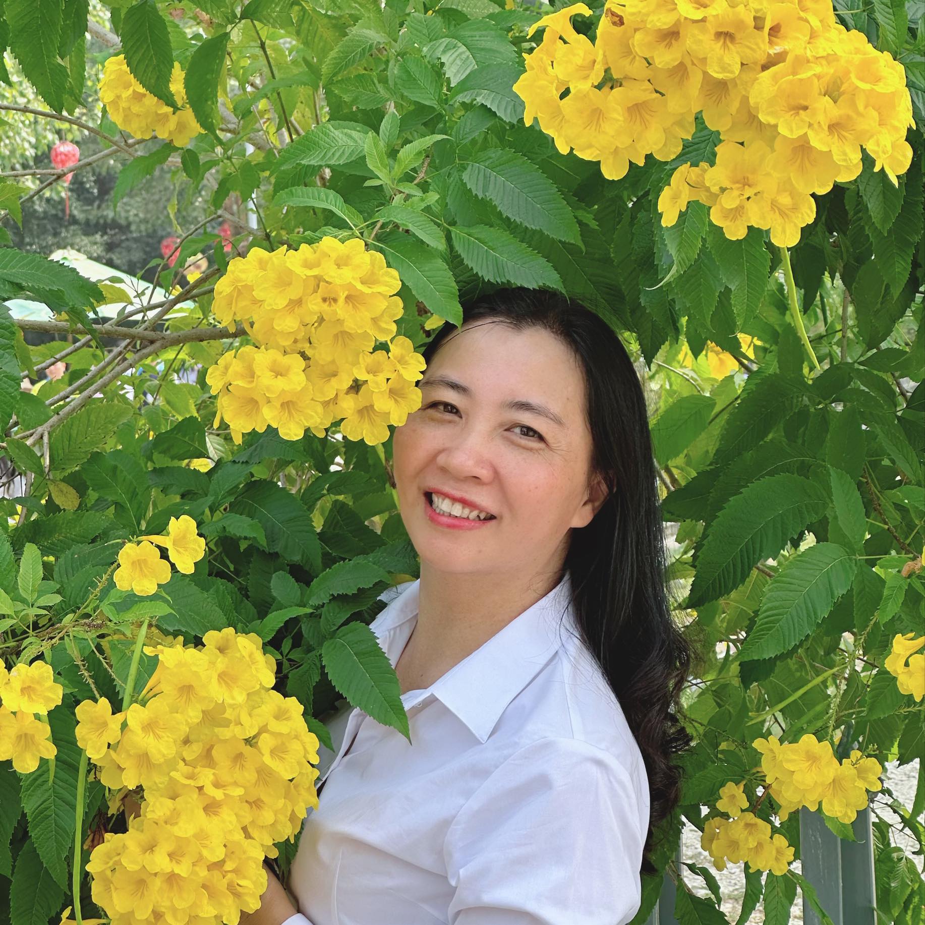 Dr lai thi phuong thao foreign language specialized school
